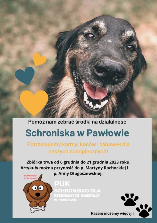 Schroniska w Pawłowie