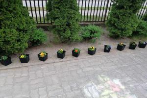 Mini ogródek Krasnoludków